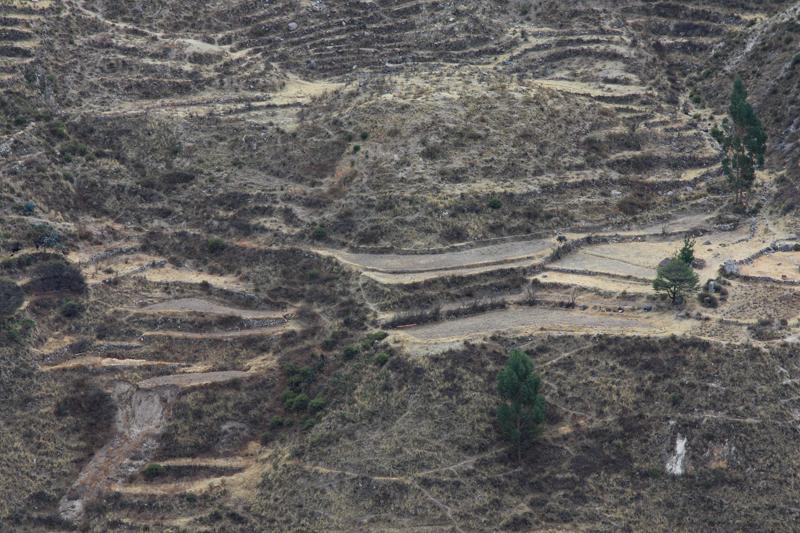 902-Canyon del Colca,15 luglio 2013.JPG